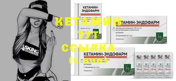 крисы Осташков