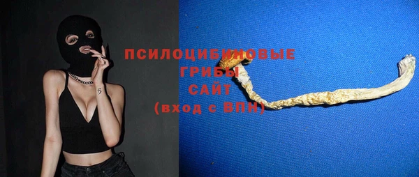 крисы Корсаков